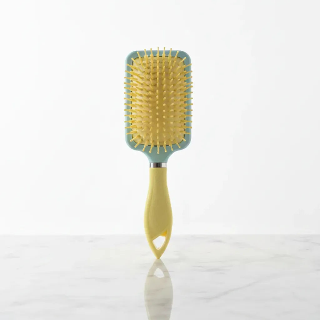 Hairbrush 3946