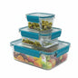 Set of 3 refrigerator food container