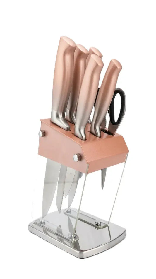 Dynamic Cook 6-Piece Stainless Steel Knife Set with Modern Acrylic Stand