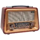 راديو كلاسيكى GOLON RX-BT1006